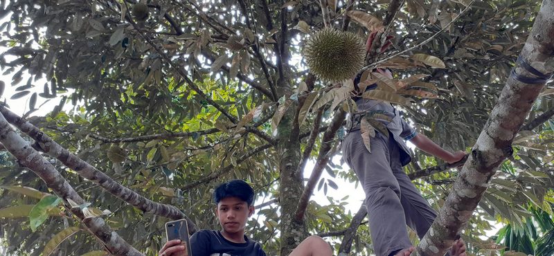 Wujudkan Solsel Sebagai Kampung Durian