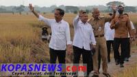 Presiden Joko Widodo bersama Capres Prabowo dan Ganjar saat meninjau petani yang sedang memanen padi di Jawa Barat beberapa waktu lalu. Dok istimewa